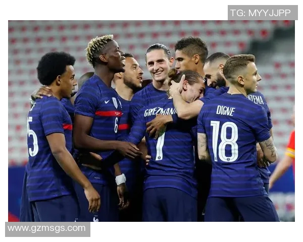 法国足球明星汇总及其在国际赛场上的精彩表现分析