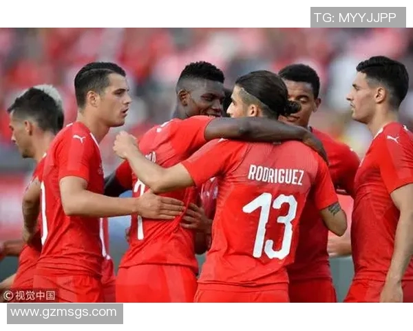 瑞士与日本实力对比谁更强大探讨两国的优势与特点